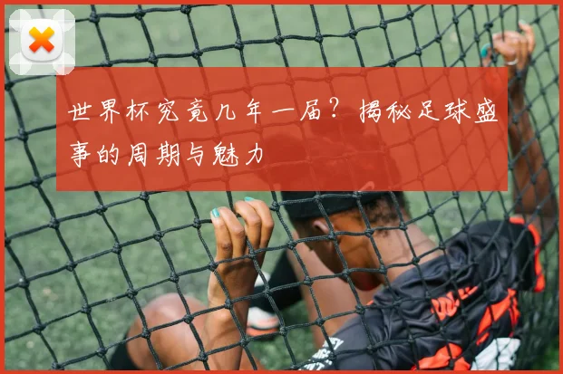 世界杯究竟几年一届？揭秘足球盛事的周期与魅力