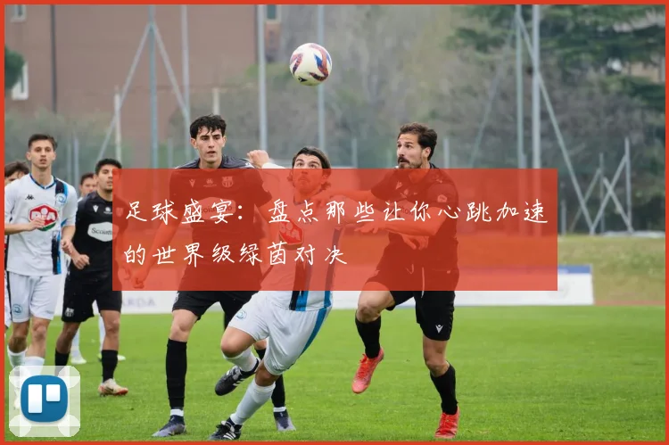 足球盛宴：盘点那些让你心跳加速的世界级绿茵对决